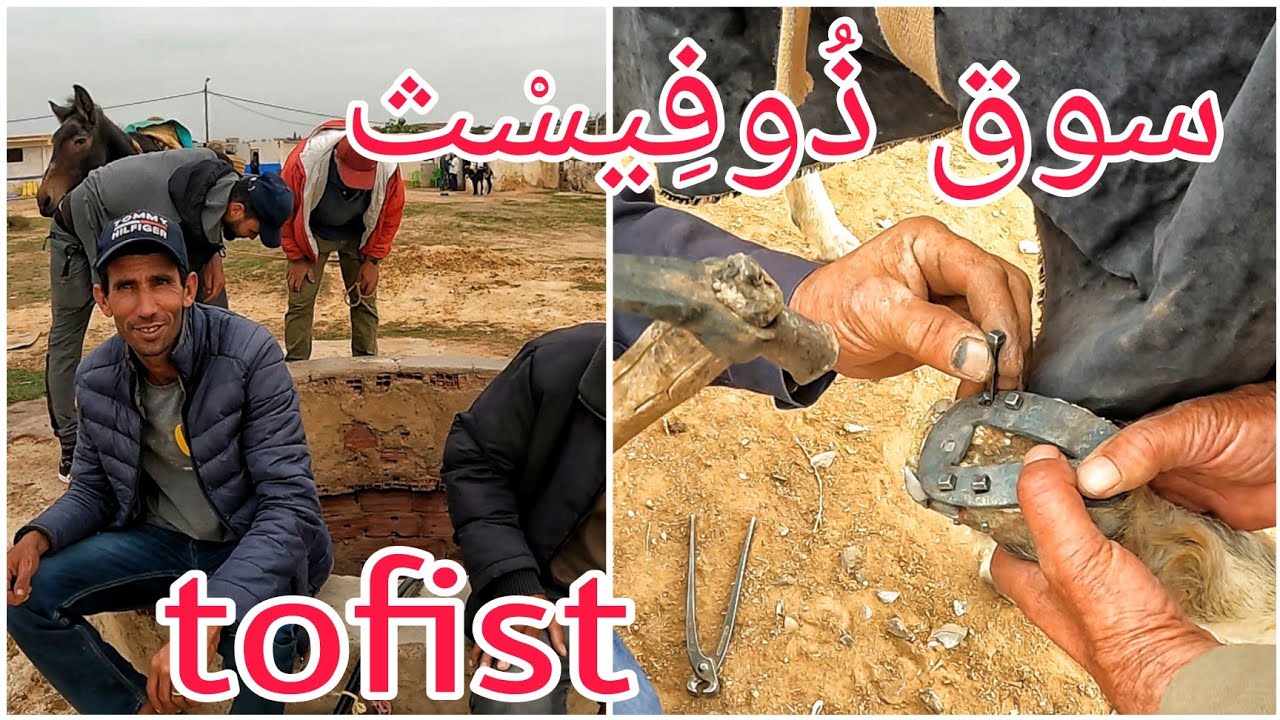 حوار شيق مع صانع حدوة الدواب🐴 في السوق الأسبوعي بأيث يطفت