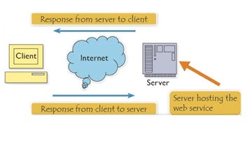 Internet Services - Learn Computers I Computer Education I Animations