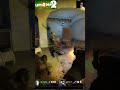 left 4 dead 2 WESTFIELD CENTRO gameplay