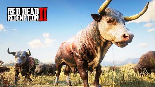 CATTLE RUSH 5 (get out of the way, the bull has no brakes) - Red Dead Redemption 2 screenshot 5