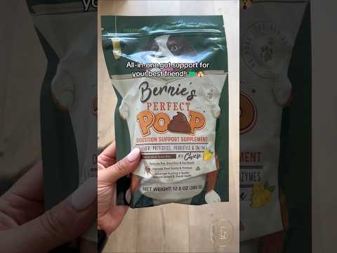 Bernie’s Perfect Poop Digestive Supplement ????✨ | Balanced Gut & Stool Support ????