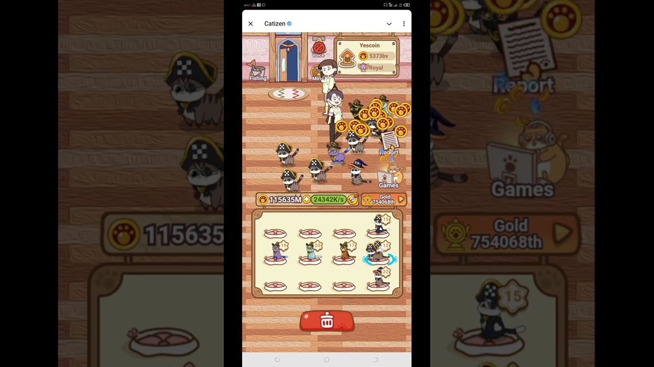 CATIZEN TUTORIAL VIDEO