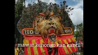 story wa 30 detik reog ponorogo