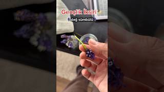 Doğadan Bedava Gençli̇k İksi̇ri̇ Ğsümbülü