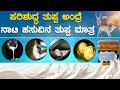 ಪರಿಶುದ್ಧ ತುಪ್ಪ ಅಂದ್ರೆ ನಾಟಿ ಹಸುವಿನ ತುಪ್ಪ ಮಾತ್ರ | Jivan Organics | Premium A2 Desi Ghee |Karnataka TV