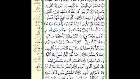 الصفحة 442 من المصحف الشريف  سورة يس   مشروع حفظ القرآن الكريم