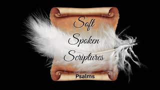 12-HR Loop | Psalms 1-23| Soft Spoken Scripture screenshot 4