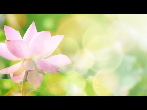 Peaceful Music, Relaxing Music, Meditation Music , 'All Things Beautiful' by Nature With Music by Tim Janis