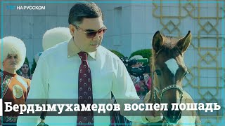 Президент Туркменистана написал песню в честь любимой лошади и ее жеребенка