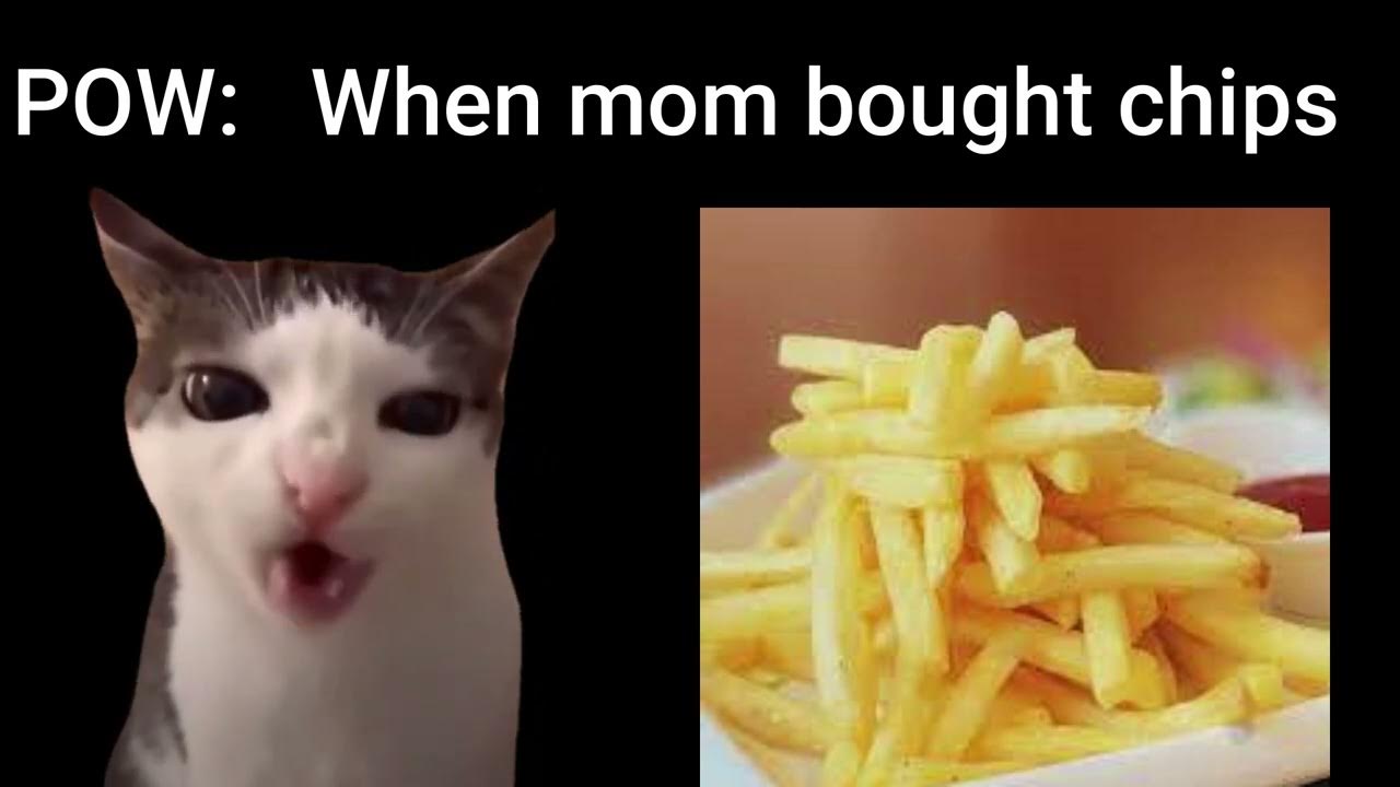 When mom bought chips Cat YouTube