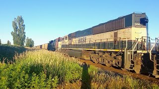 Executive Mac Alert! BNSF 9809 SD70MAC Trails On BNSF Loaded Coal Train At Delta BC