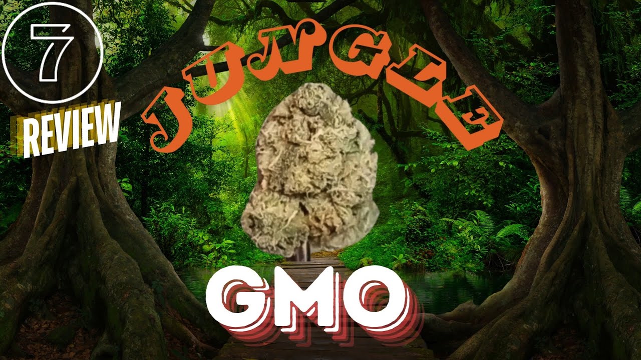777 Jungle GMO Flower Review