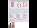 Biology important topic Difference between muscle/Re Neet 2026/ easy trick #neetpreparation