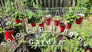 Dollar Tree DIY: Creating a Solo Cup Hanging Garden on a Budget by Backyard Bloom Family 888 views 1 month ago 6 minutes, 55 seconds