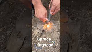 Spruce fatwood | Lighting spruce fatwood with a ferro rod, the right way | Ferro rod and fatwood