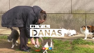 Kaznili Umirovljenicu Jer Hrani Mačke Treba Plai 132, A Živi Od 172 Eura Mjesečno Rtl Danas