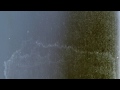 Denzel + Huhn - 'Repal Forte' (Official Video)