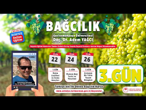 Video: Red Baron Şeftali Bakımı: Büyüyen Kırmızı Baron Şeftali Hakkında Bilgi Edinin