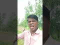 Mithun da best dialogue #ytshorts #viral video #trending shorts