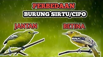 Qdr7uwu0jpfaqm