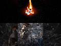 Which fatality can destroy t-1000? #shorts #mk1 #t1000