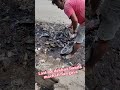 gandagi ka karan ham khud h