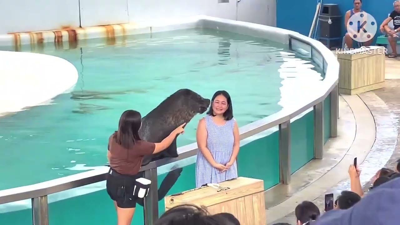 🦭 🦭 Another Highlight in Ocean Adventure 