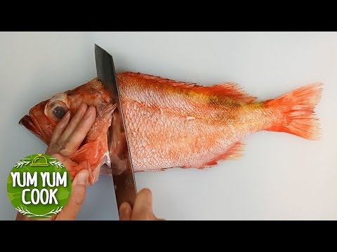 How to Fillet a Red Snapper at Home | YumYumCook