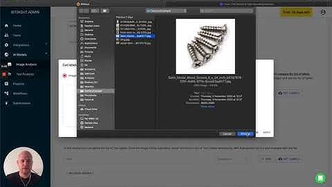 Image Analysis Models in Bitskout  - Understanding Labels and GET LABELS feature