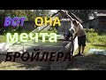 Загон для бройлеров, мини-курятник, каждый сможет сделать!!! [2 часть]