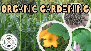 Organic Gardening for Large Gardens | Useful Knowledge