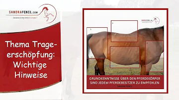 Was für ein Organ hat das Pferd nicht?