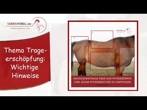 🐴 Trageerschöpfung beim Pferd: Mögliche Ursachen