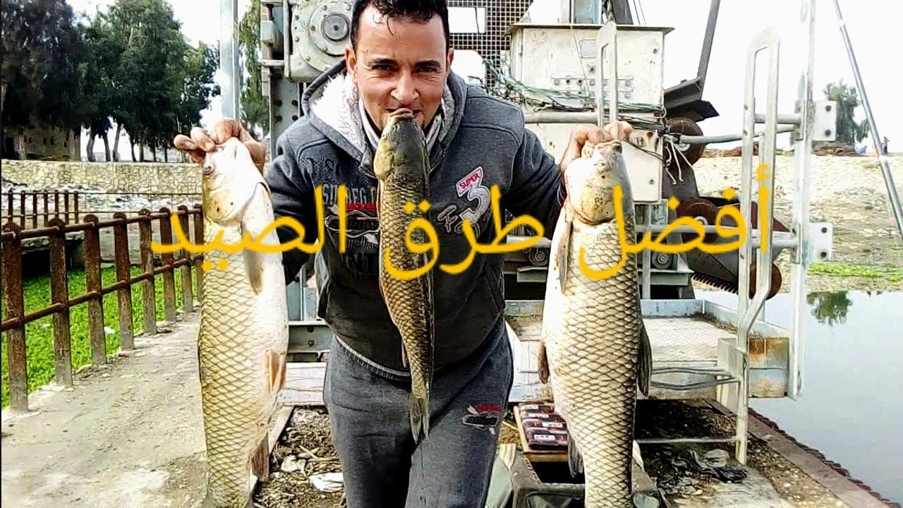 افضل طريقه للصيد بالنسيله (لسنة ٢٠٢٠)