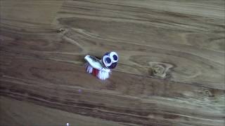 Homemade Spinning Brushbot