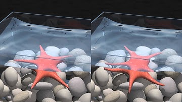 Two-way Coupling of Fluids to Reduced Deformable Bodies
