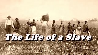 A Day in the Life of a Slave
