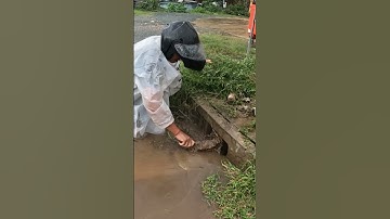 Clean up grass and soil that is blocking the drain  #culverts #unclog #drainagesystem #drain #shorts