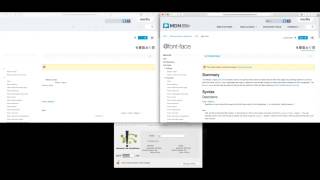 WebKit Improved Font Loading