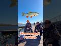 Голавль - рыба, которую не удавалось словить #рыбалка #fishing #belarus