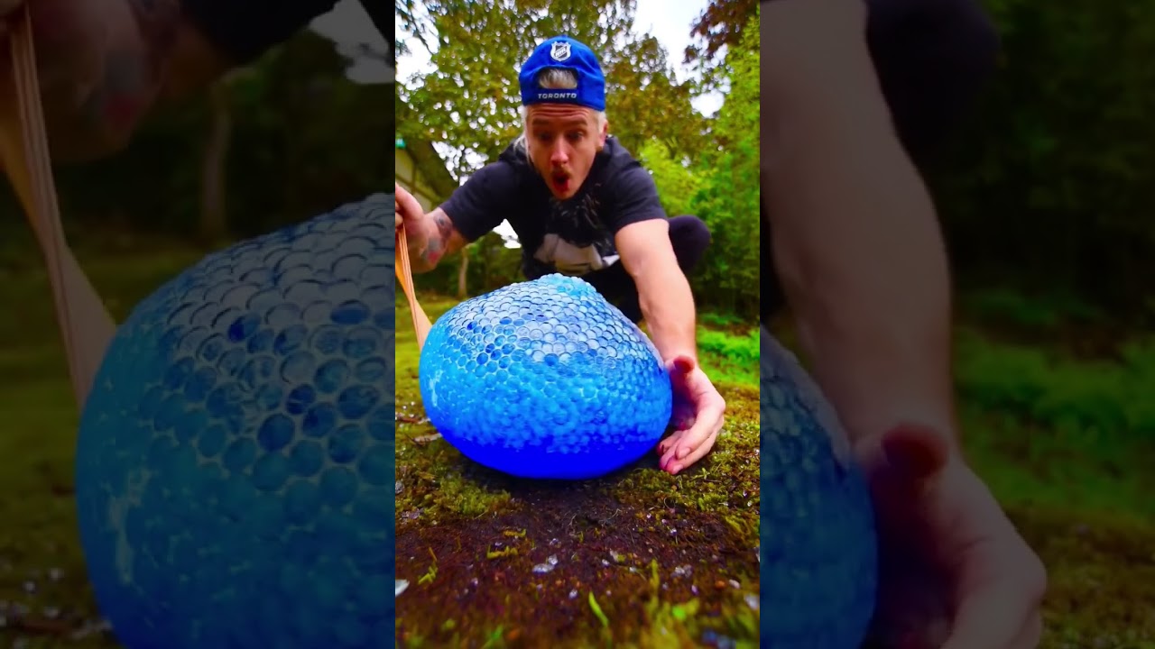 "Mesmerizing Moments: A Satisfying Visual Symphony" 