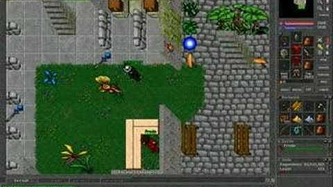 explorando tibia elfen80