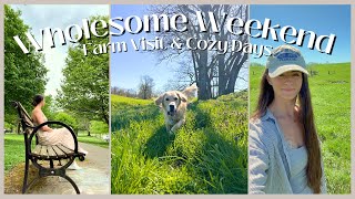 Week in My Life: Visiting the Farm, Going for Hikes & Walks in the Park, & Cozy Cooking