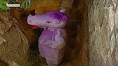 مسلسل وبالوالدين إحسانا الحلقة العاشرة Youtube