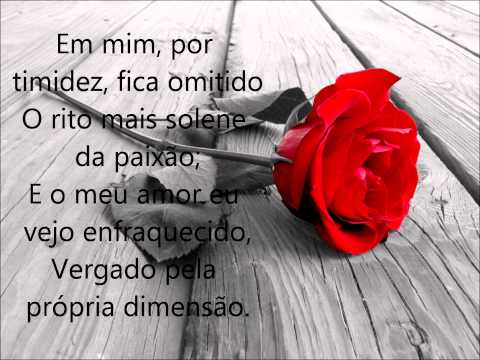 Soneto XXIII 