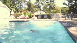 Medical Minute: Swimming Pool Safety Tips