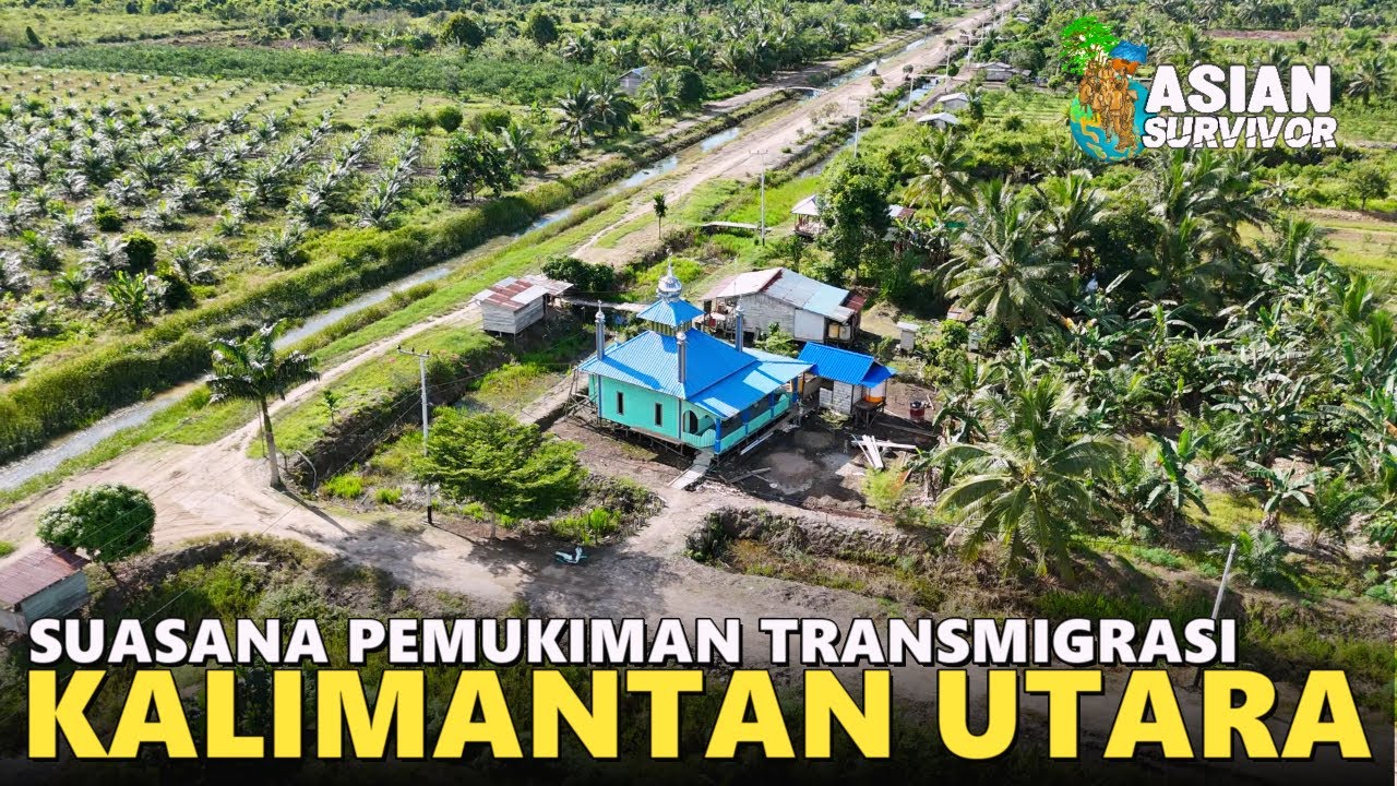 JELANG 12 TAHUN PEMUKIMAN TRANSMIGRASI SP9 DESA TANJUNG BUKA, BULUNGAN, KALIMANTAN UTARA