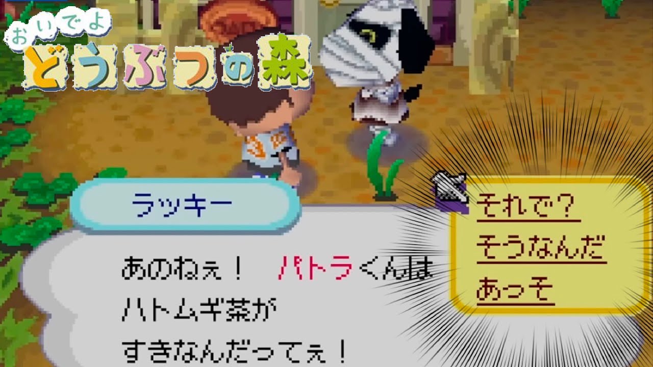 Don't be so shy [Animal Crossing: New Leaf] - YouTube