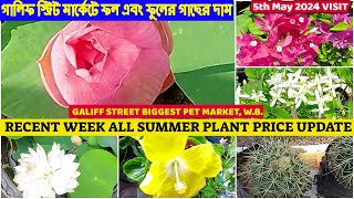 Recent Summer Indoor & Outdoor Plant Price| সস্তা গাছের বাজার | Galiff Street Plant Market| 05/05/24