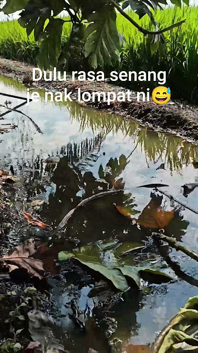 Sejak dia korek parit makin susah pulak nak lompat ni #funny #fyp #shorts